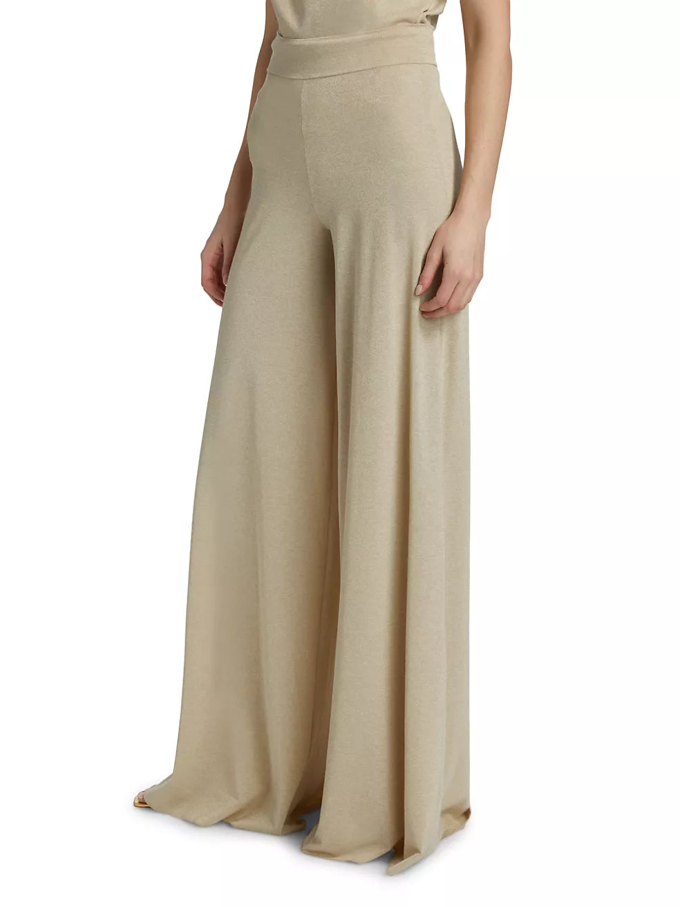 Skyla Jersey High-Rise Palazzo Pants