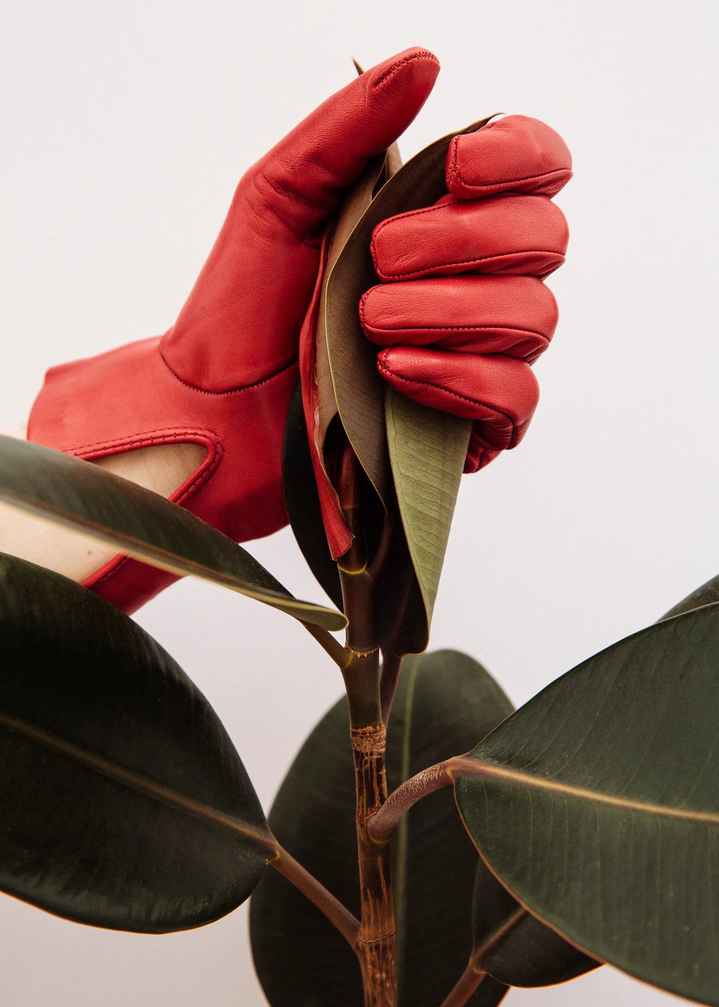 Italian Corto Gloves in Red