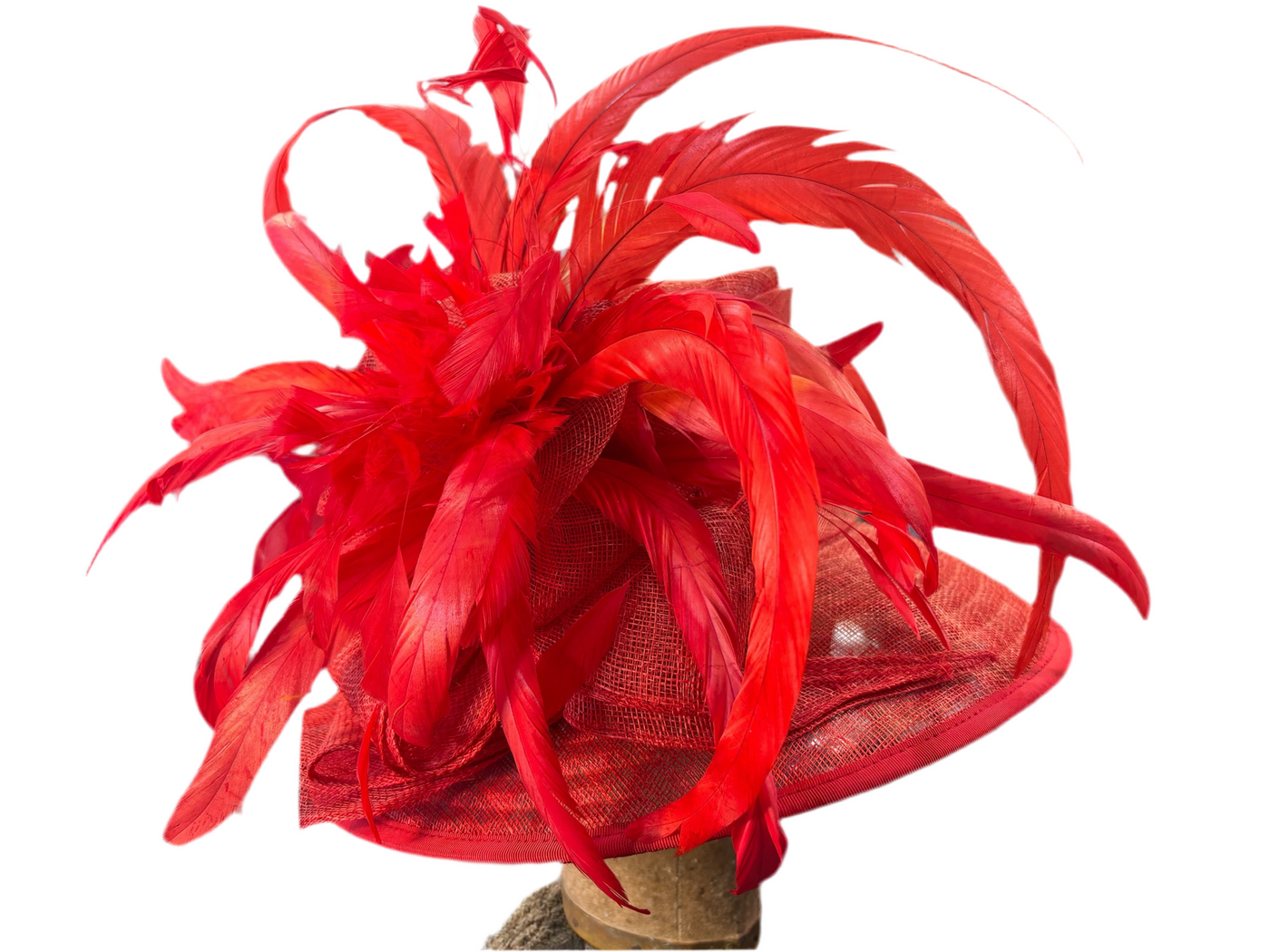 Red Feather Brim Derby Hat