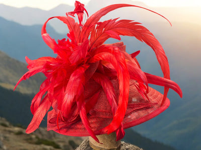 Red Feather Brim Derby Hat