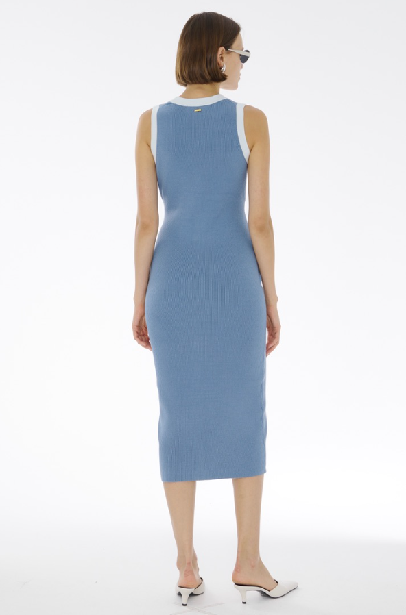 Victoria Button-Front Midi Dress in Steel Blue/Ice Blue